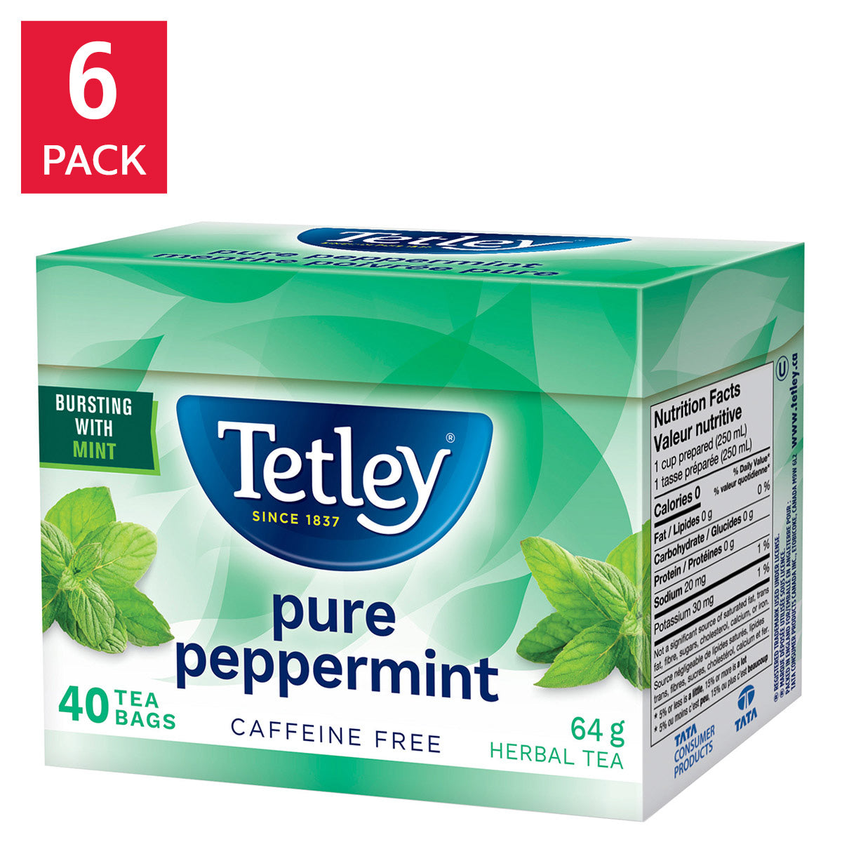 Tetley Peppermint Tea, 6 × 40, 240-count - image 1