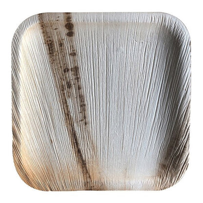 Bio Mart Areca Palm Leaf 8 in. Square Plates, Pack of 100 - image 1