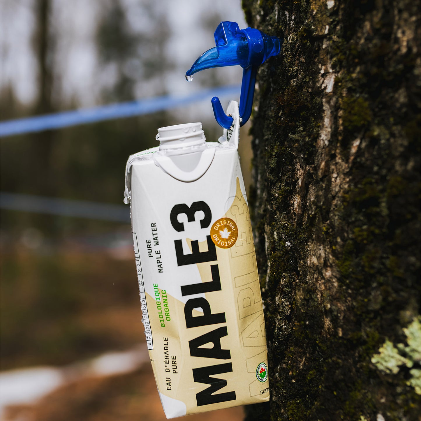 Maple3 Pure Organic Maple Water, 500 mL 24-pack - image 3