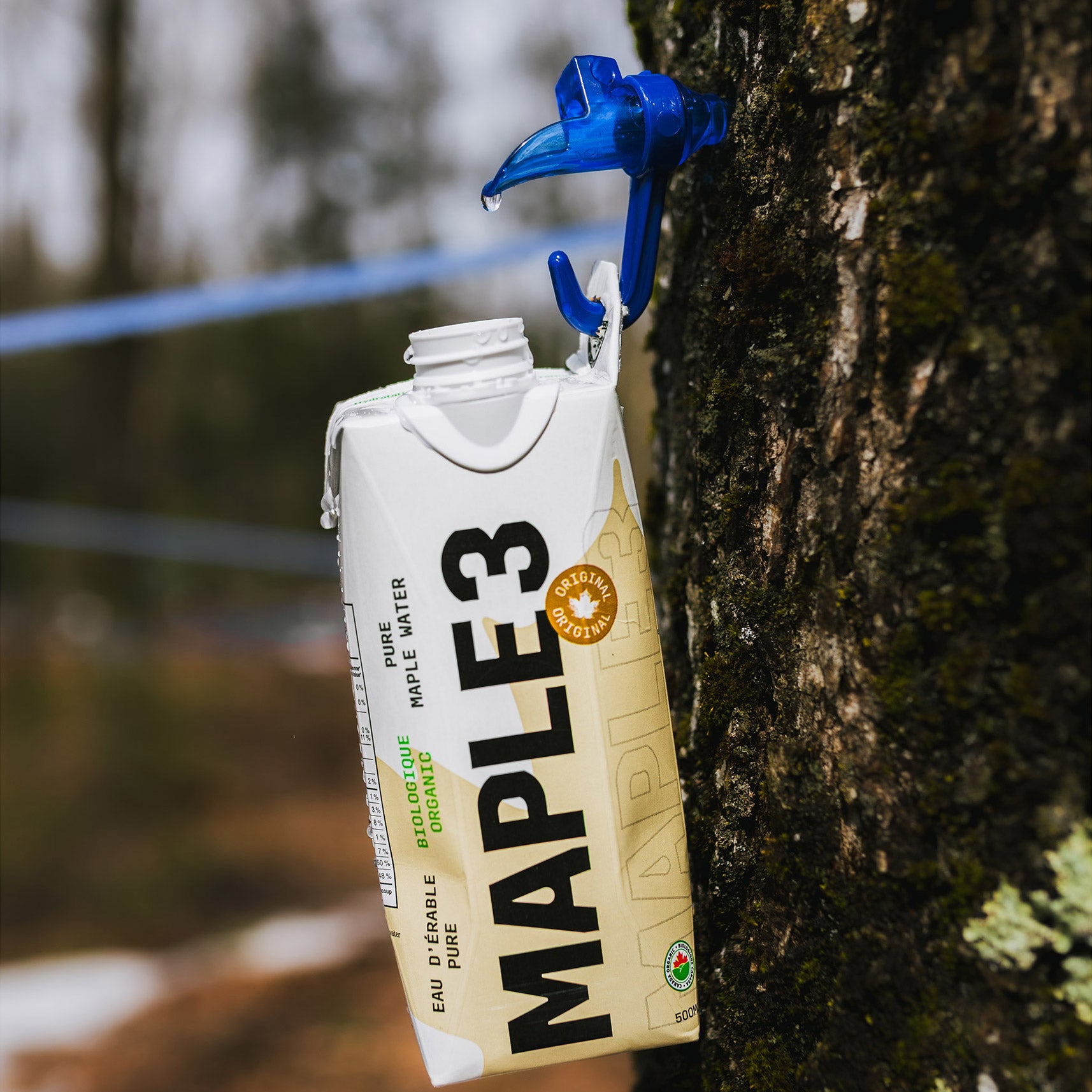 Maple3 Pure Organic Maple Water, 500 mL 24-pack - image 3