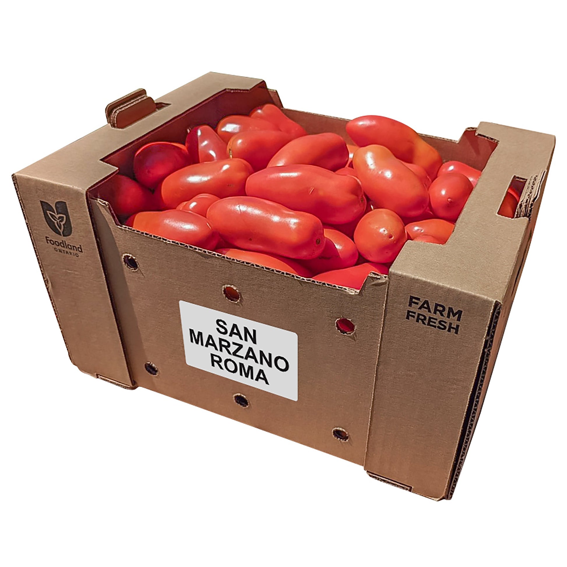 San Marzano Tomatoes, 11.34 kg - image 2