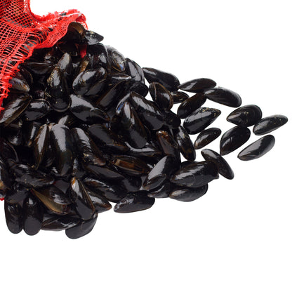 Canadian Cove Fresh Mussels, 10 lb Mesh Bag - image 1
