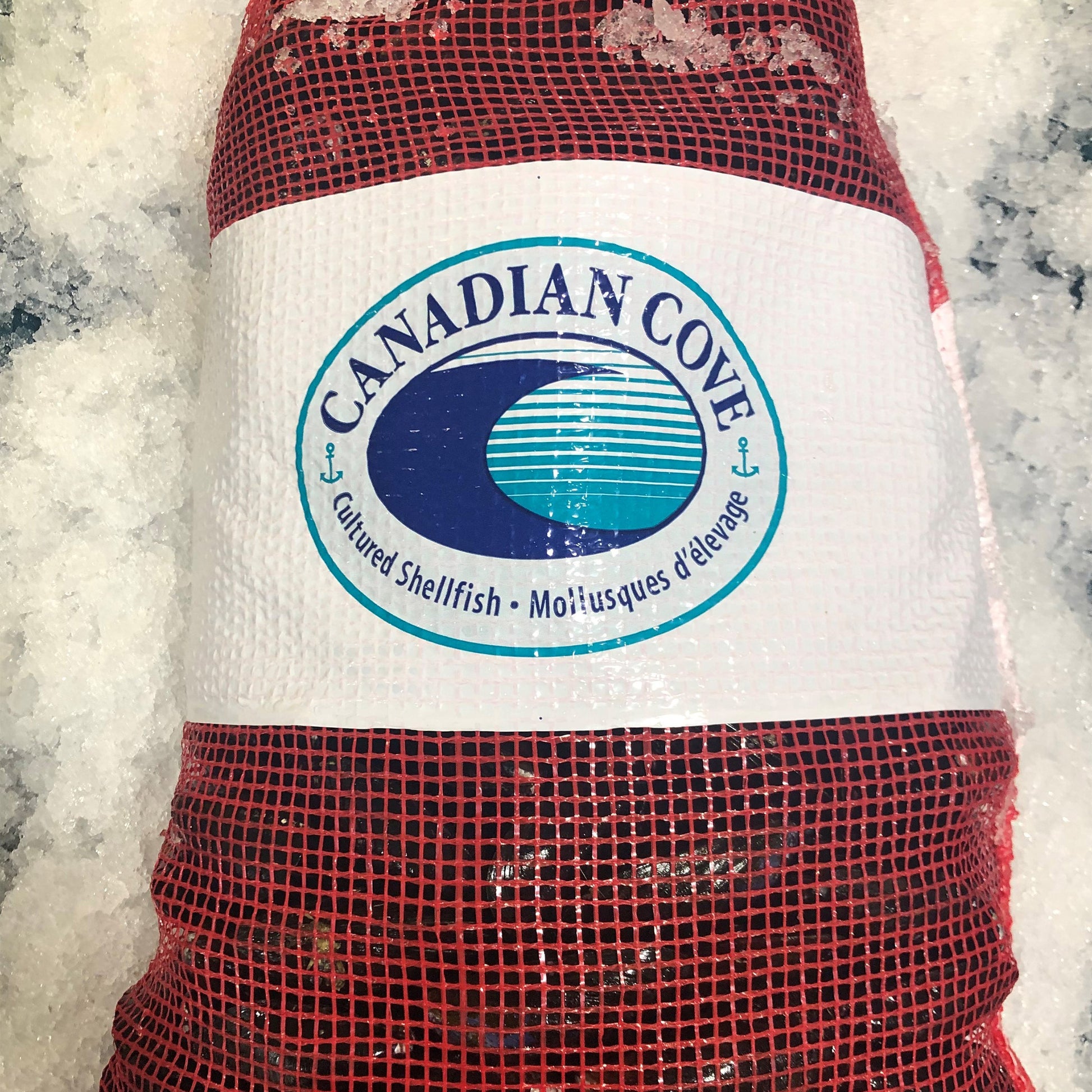 Canadian Cove Fresh Mussels, 10 lb Mesh Bag - image 2