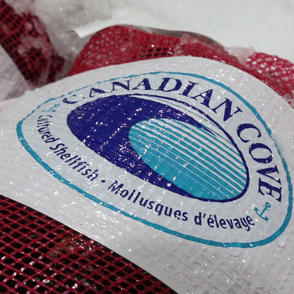 Canadian Cove Fresh Mussels, 10 lb Mesh Bag - image 3