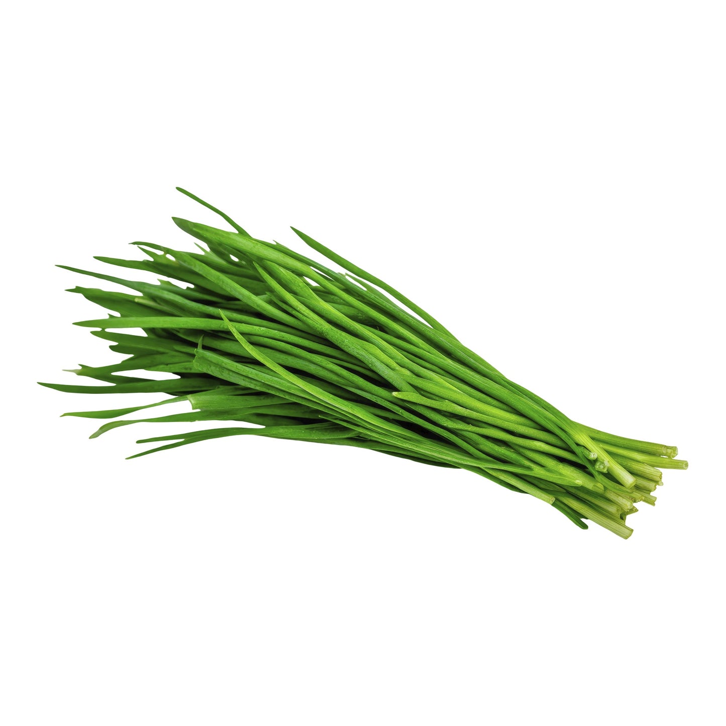 Green Chives, 680 g - image 1