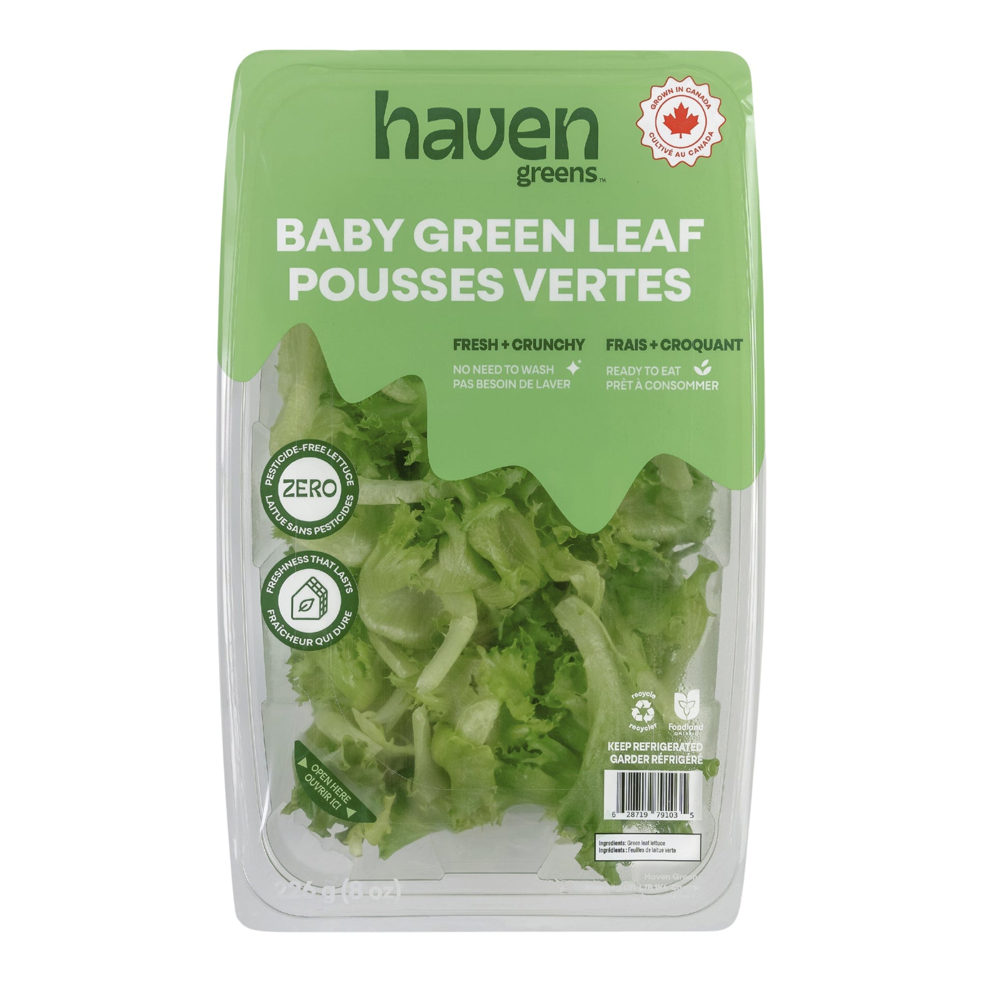 Haven Greens Baby Green Leaf, 283 g - image 1