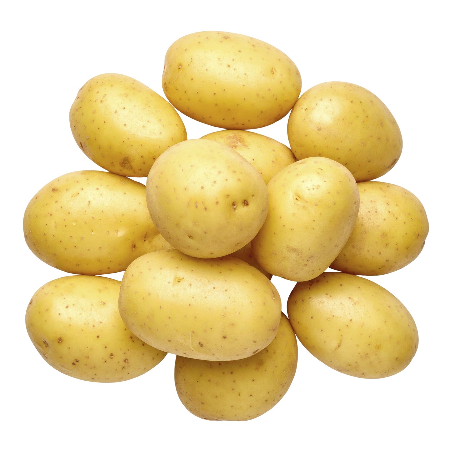 Little Yellow Potatoes, 4.54 kg - image 1