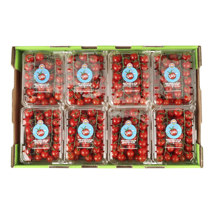 Cherry Tomatoes On The Vine - image 2