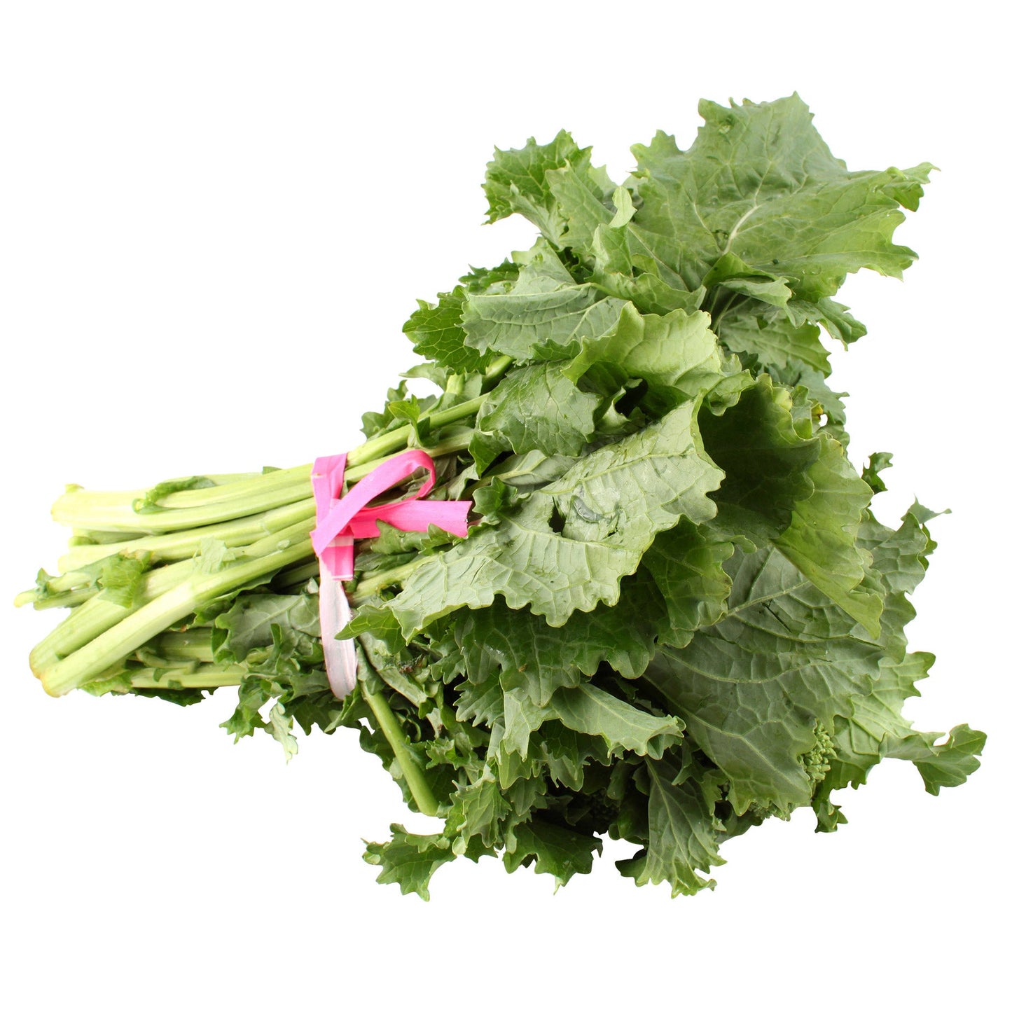 Rapini, 2 Bunches - image 1