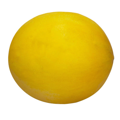 Golden Honeydew Melon - image 1