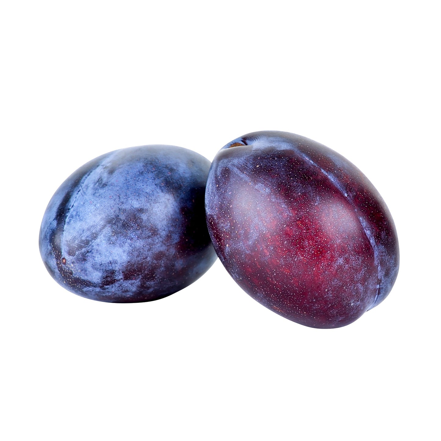 Italian Prune Plums - image 1