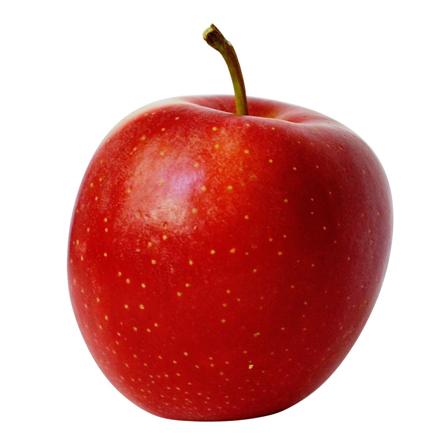 Gala Apples, 2.27 kg - image 1