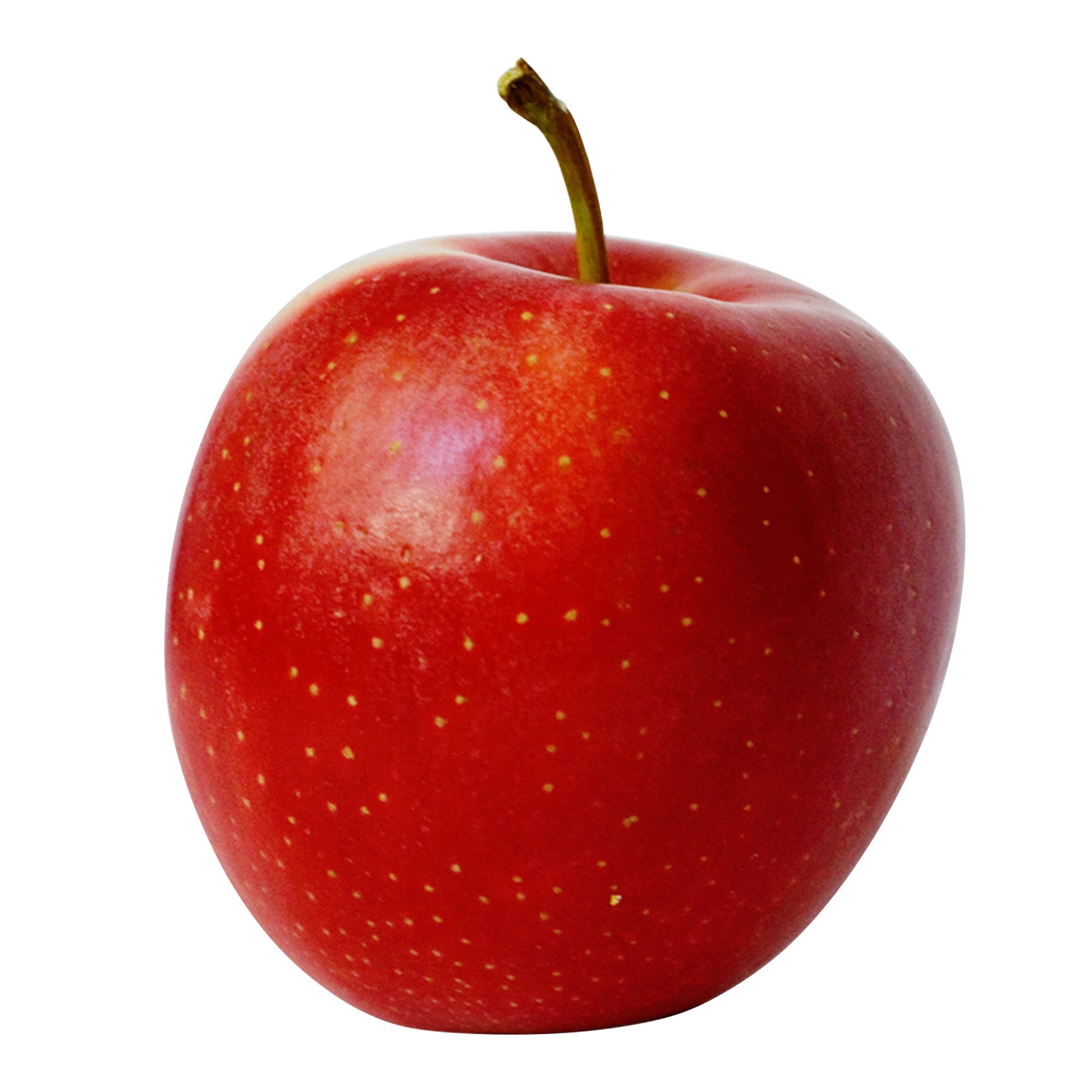 Gala Apples, 2.27 kg - image 1