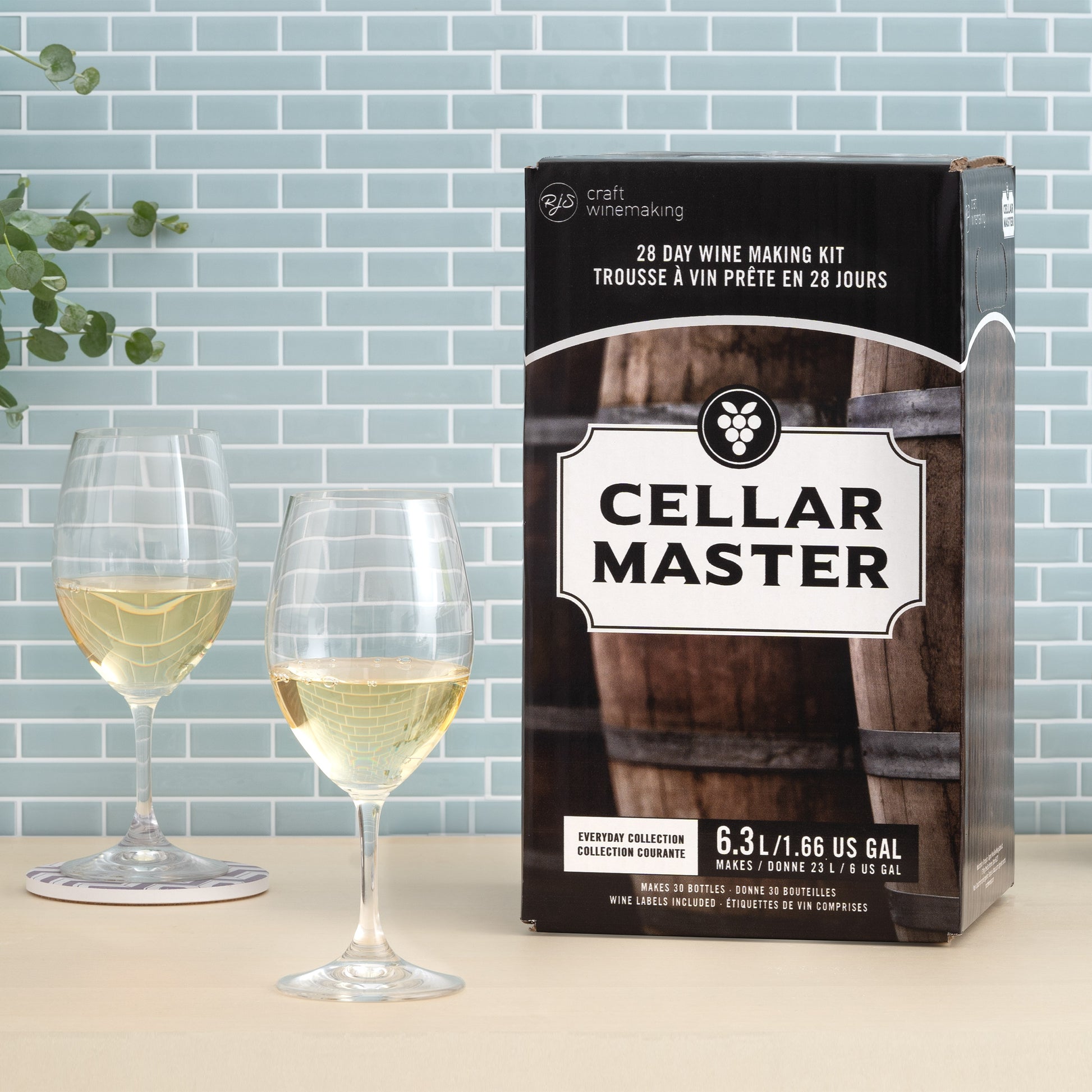 Cellar Master Pinot Grigio Wine Kit 2-pack (2 x 6.3L) - image 2
