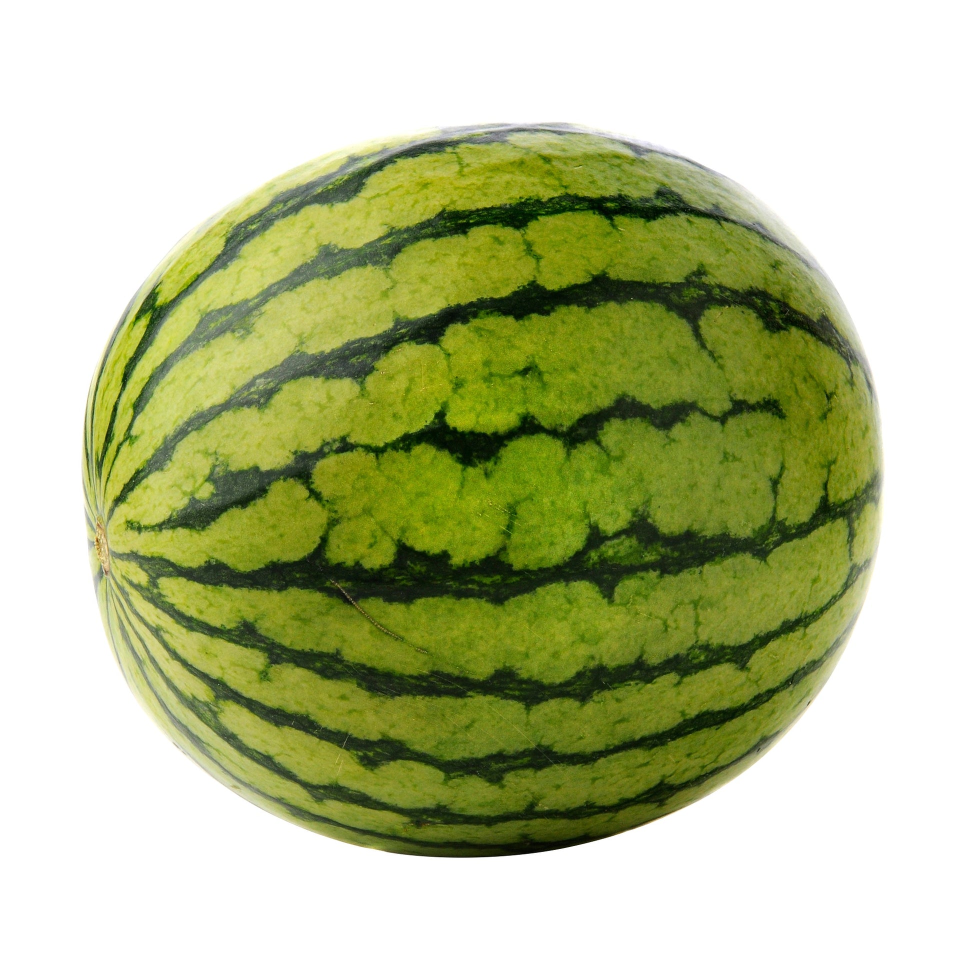 Mini Seedless Watermelon - image 1