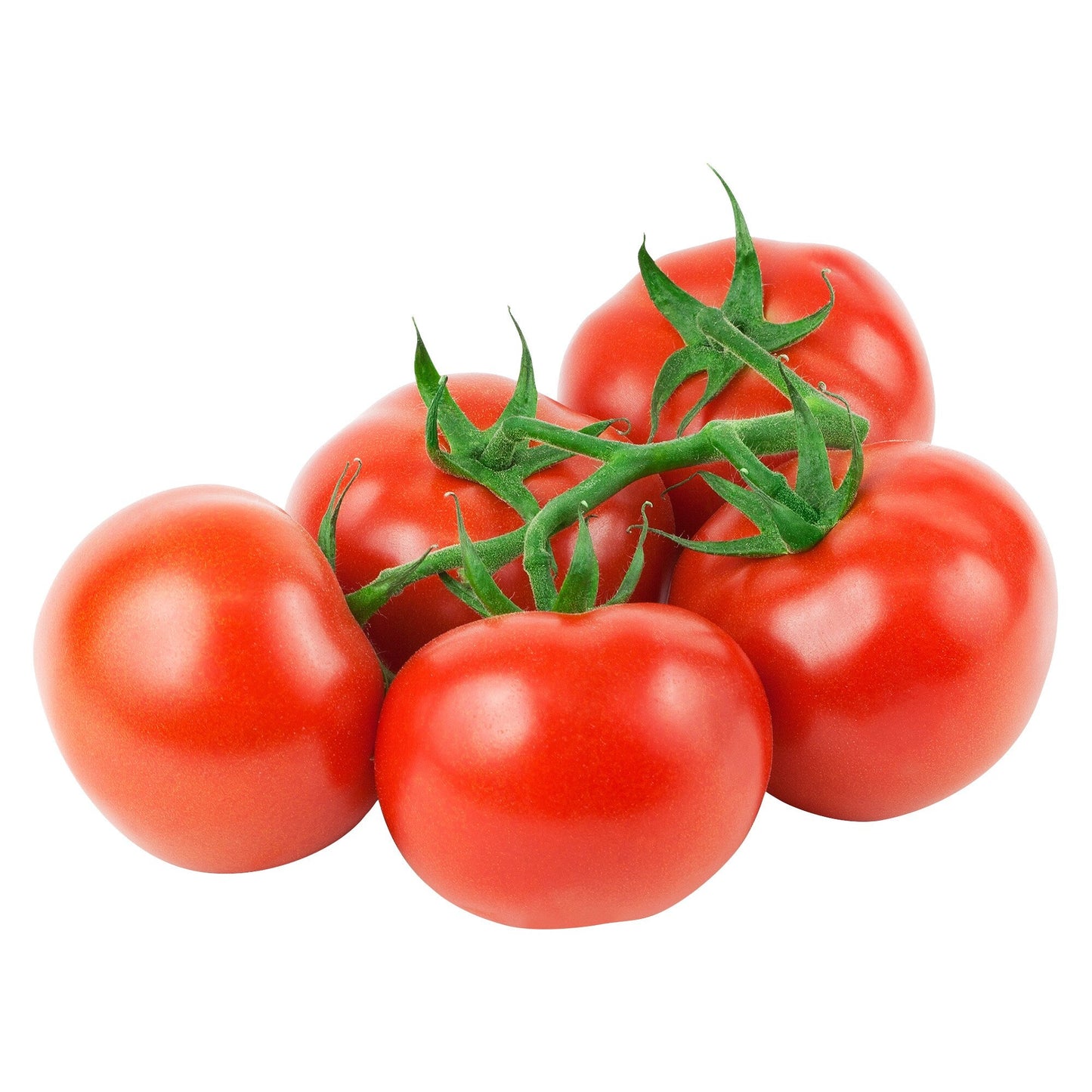 Prova Tomatoes On The Vine, 1.36 kg - image 1