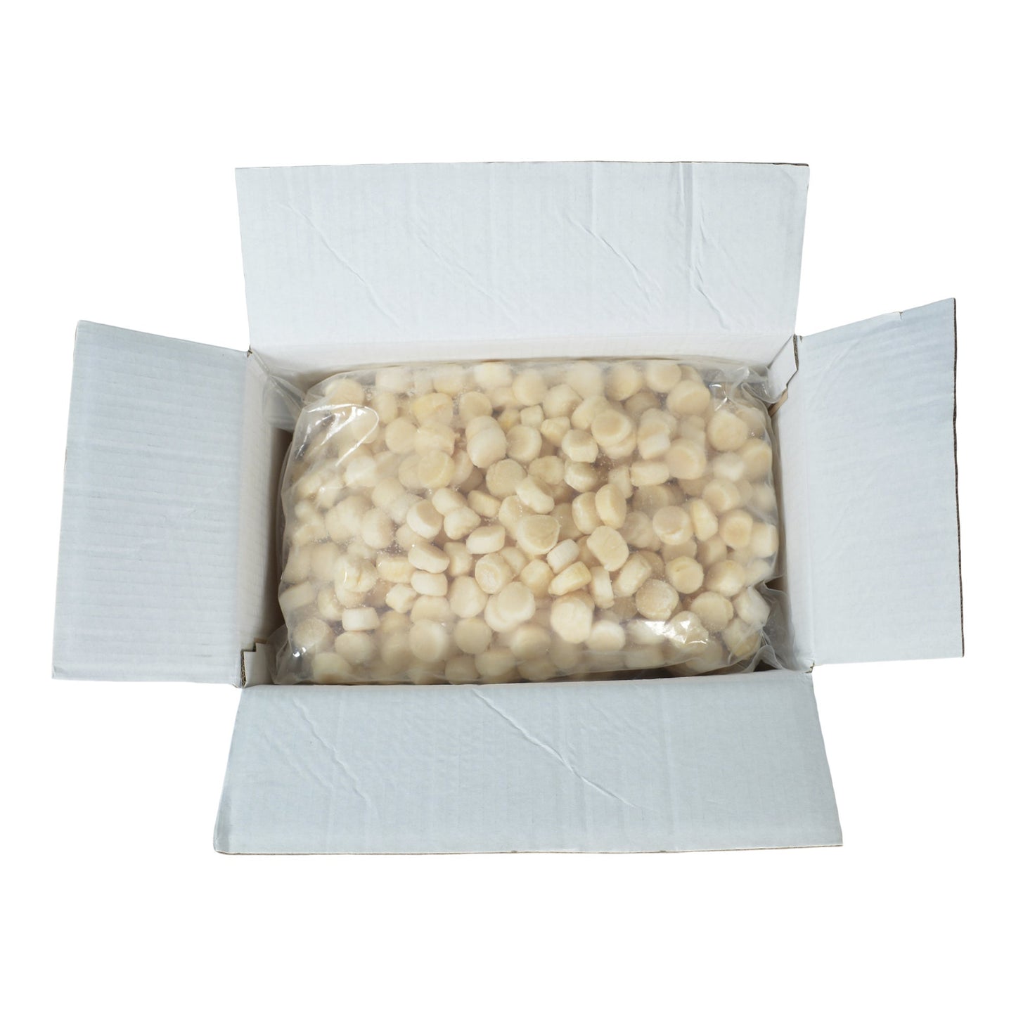 Olivia Patagonian Scallops, 4.54 kg - image 5