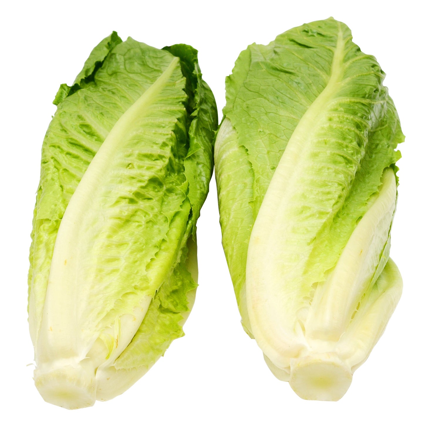 Romaine Hearts, Pack of 6 - image 1
