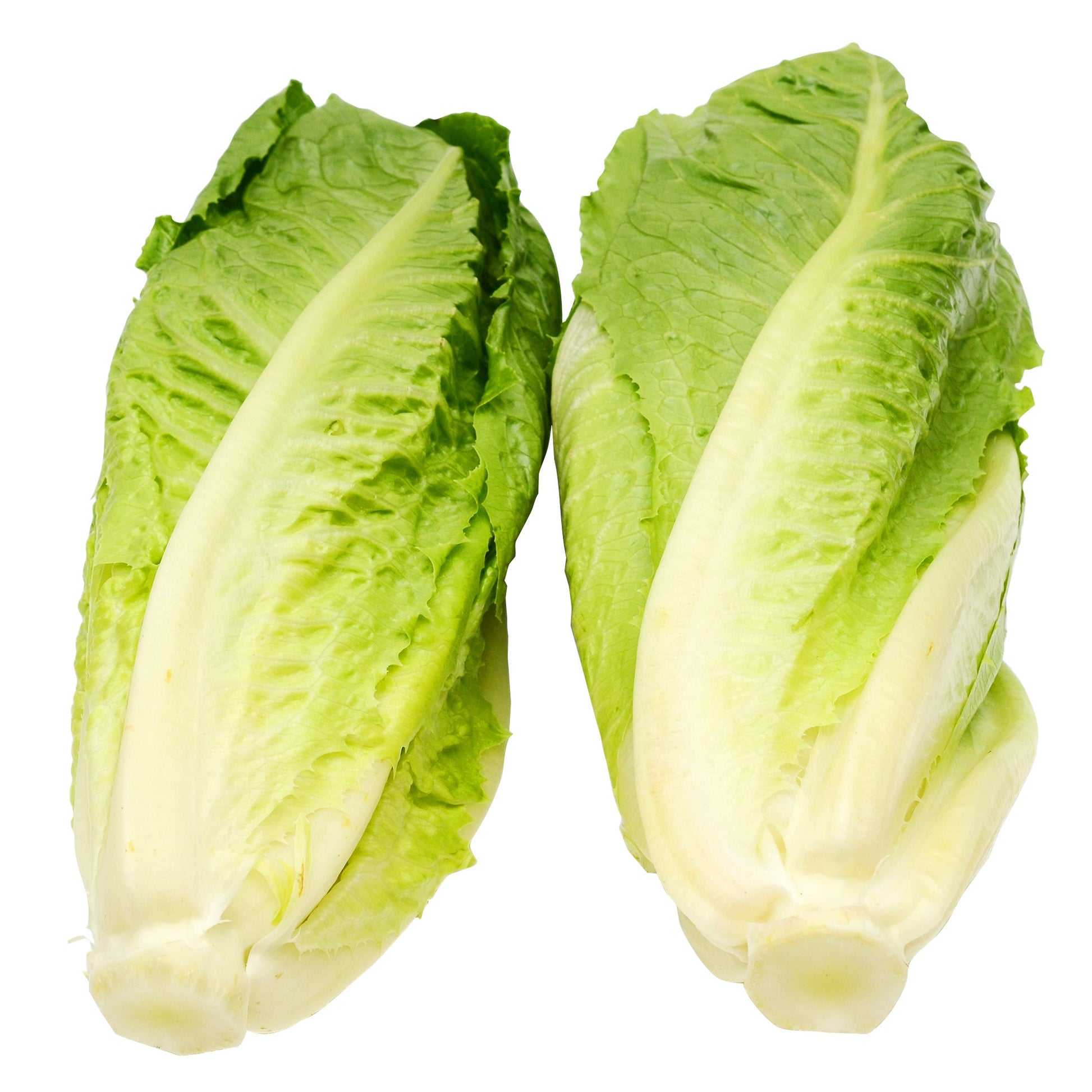 Romaine Hearts, Pack of 6 - image 1