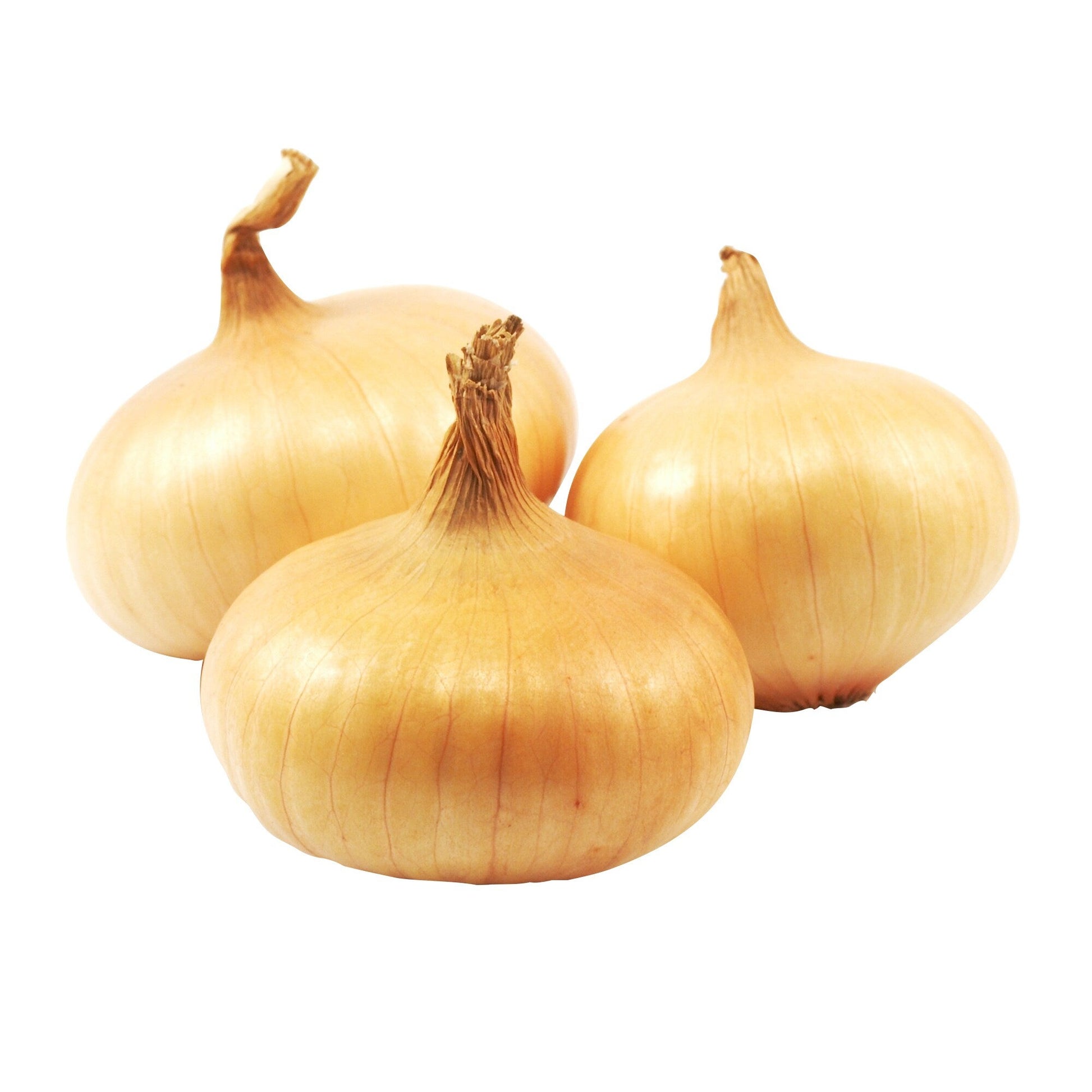 Sweet Onions - image 1