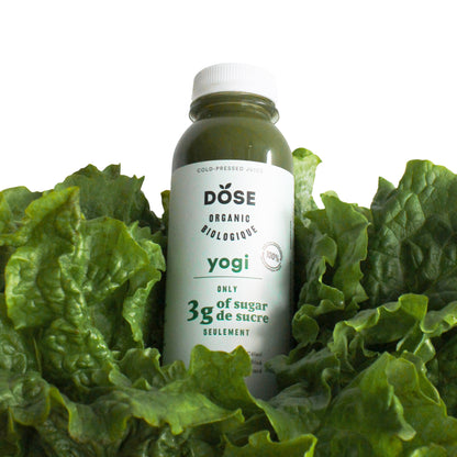 DOSE Organic Cold-Pressed Yogi Green Juice, 30 × 300 mL (10.14 fl oz) - image 3