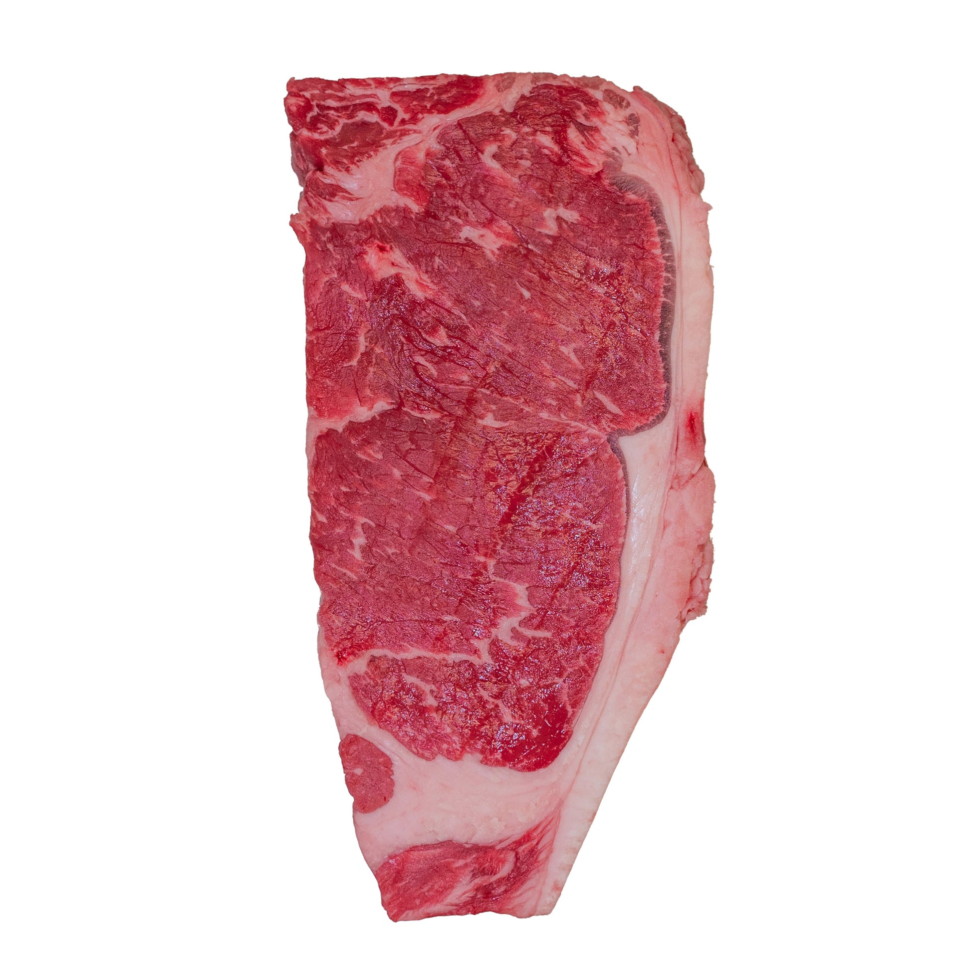 Near North Life Canada Prime New York Striploins, 16 oz - image 5
