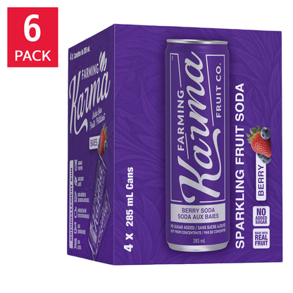 Farming Karma Soda, 285 mL 24-pack - image 4