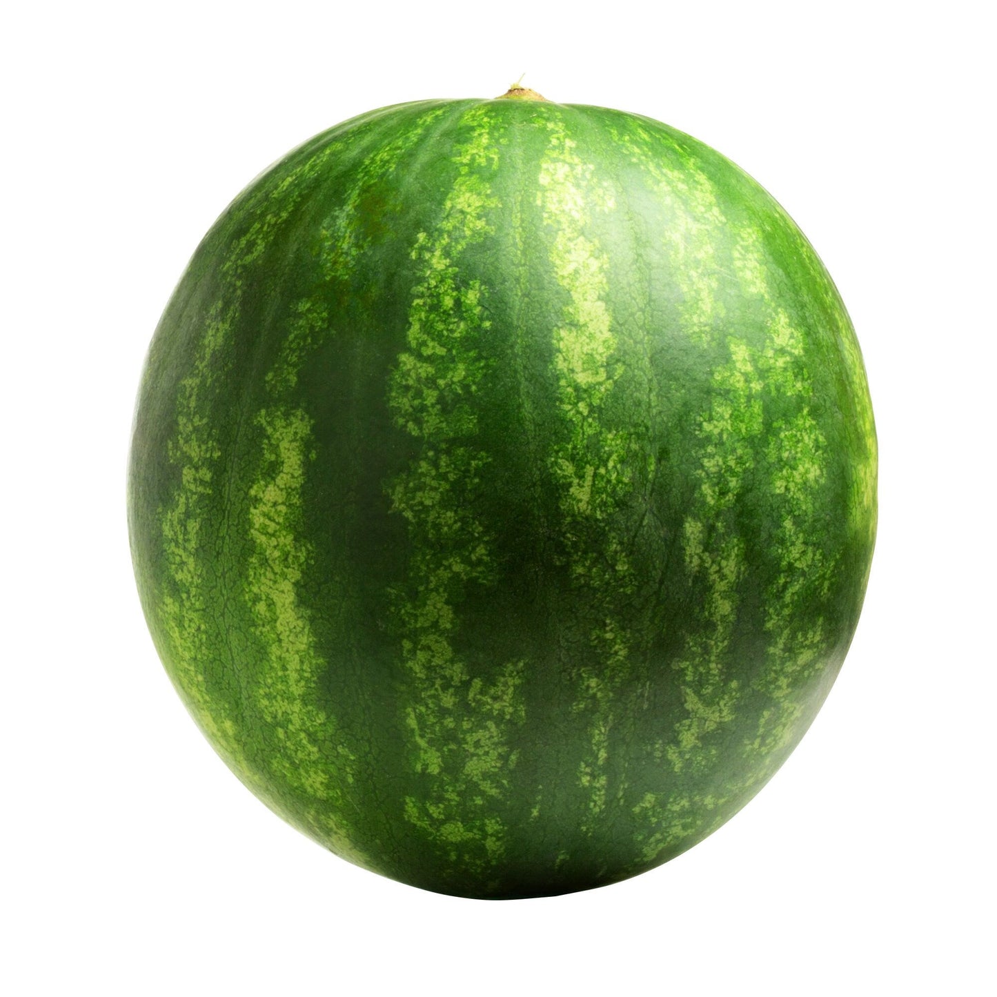 Seedless Watermelon - image 1