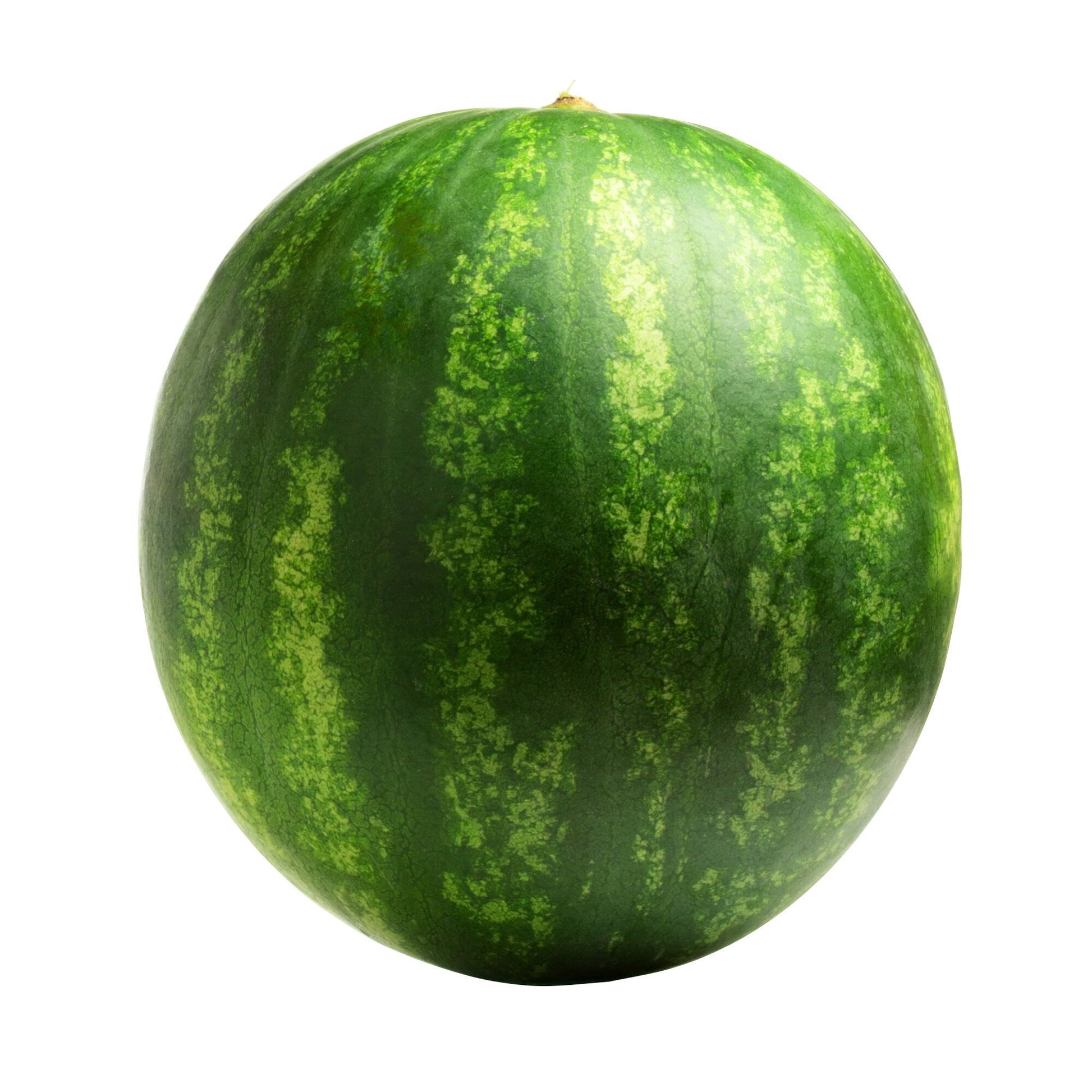 Seedless Watermelon - image 1