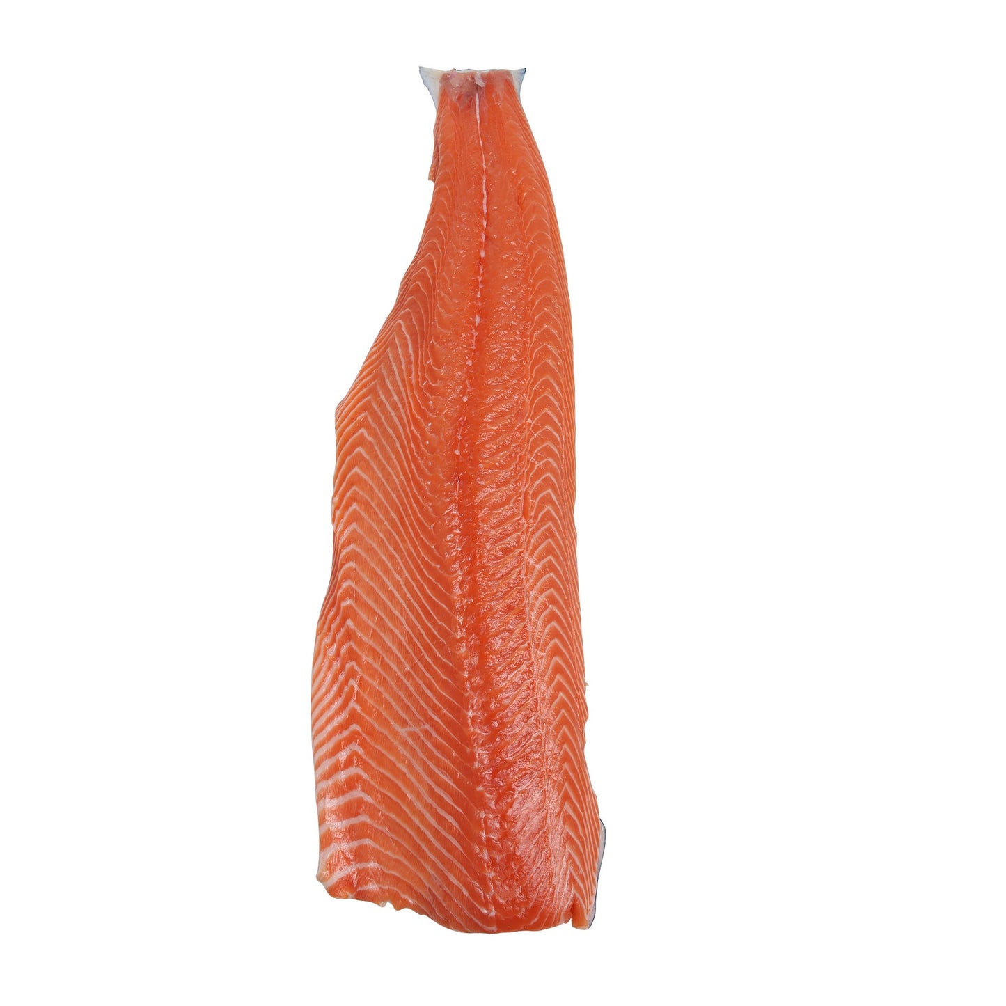 True North Skin-on Salmon Fillets Full Case, 4.5 kg average weight* - image 1