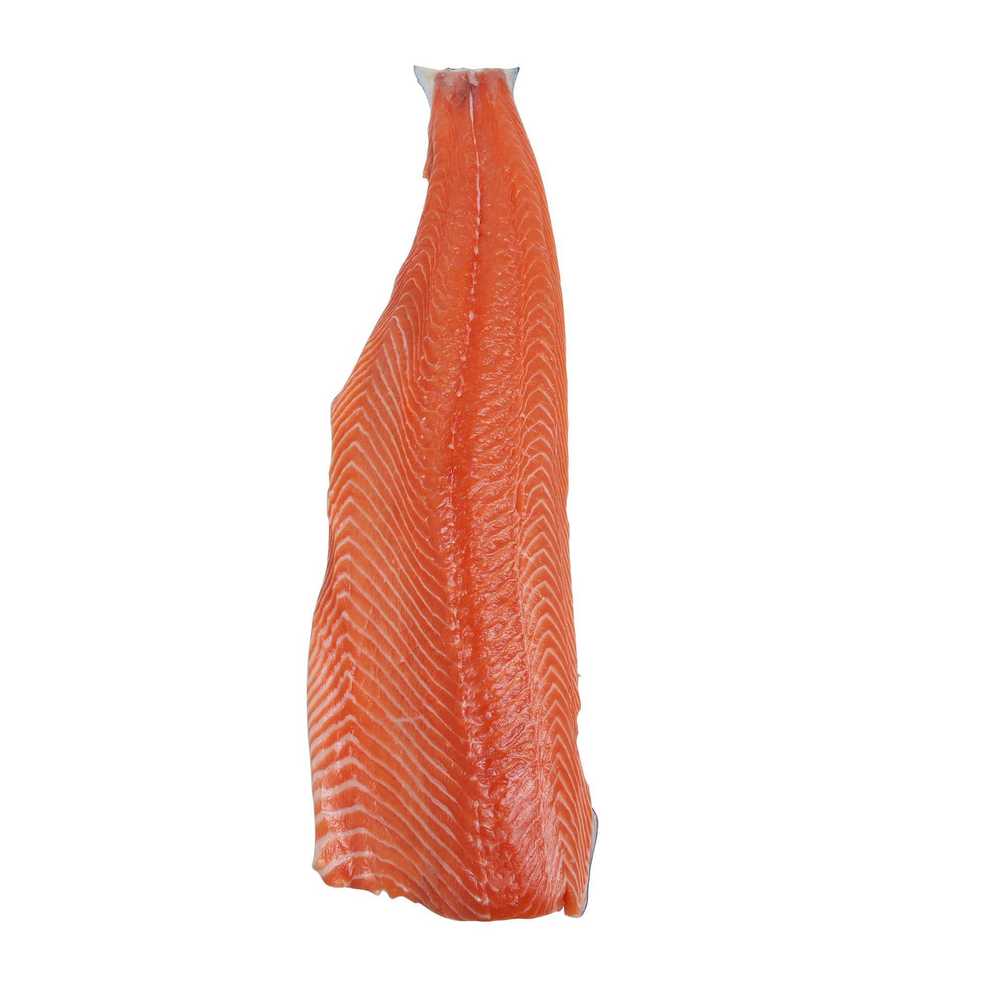 True North Skin-on Salmon Fillets Full Case, 4.5 kg average weight* - image 1