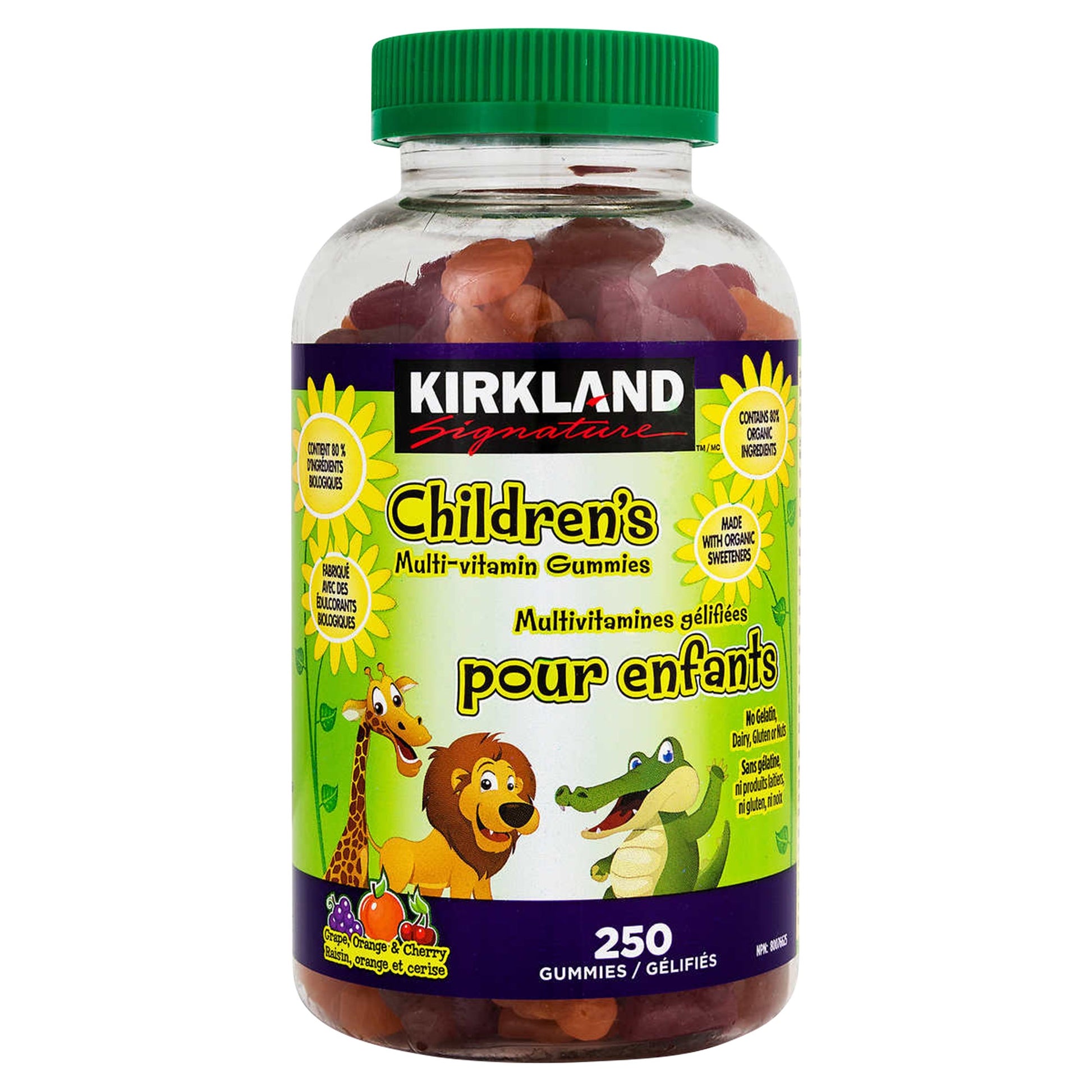Kirkland Signature Children Multi-vitamin Gummies, 250 gummies - image 1