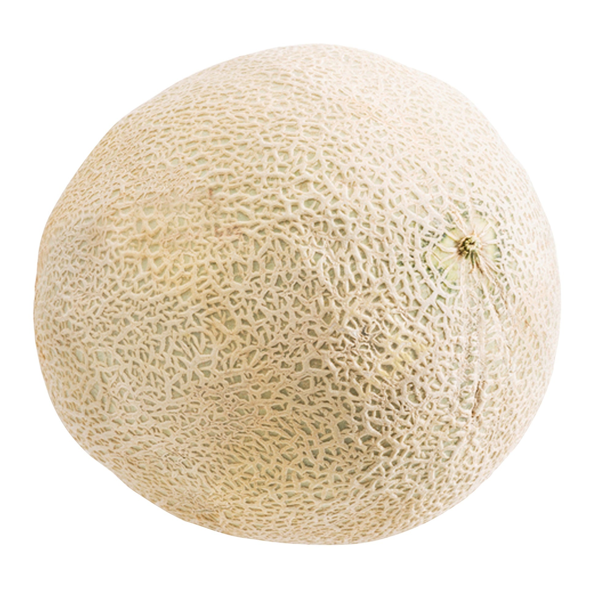 Cantaloupe - image 1