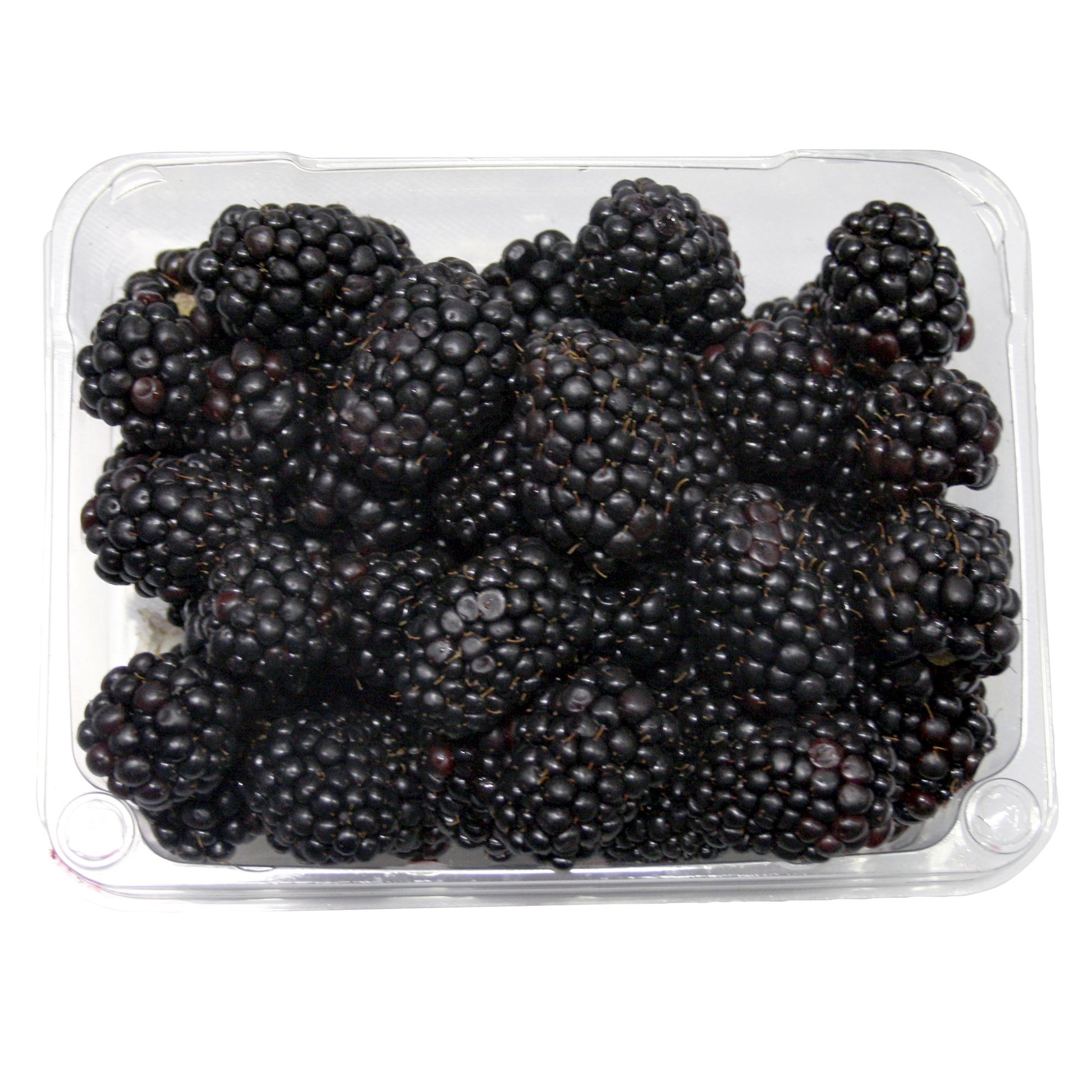 Blackberries, 340 g - image 1