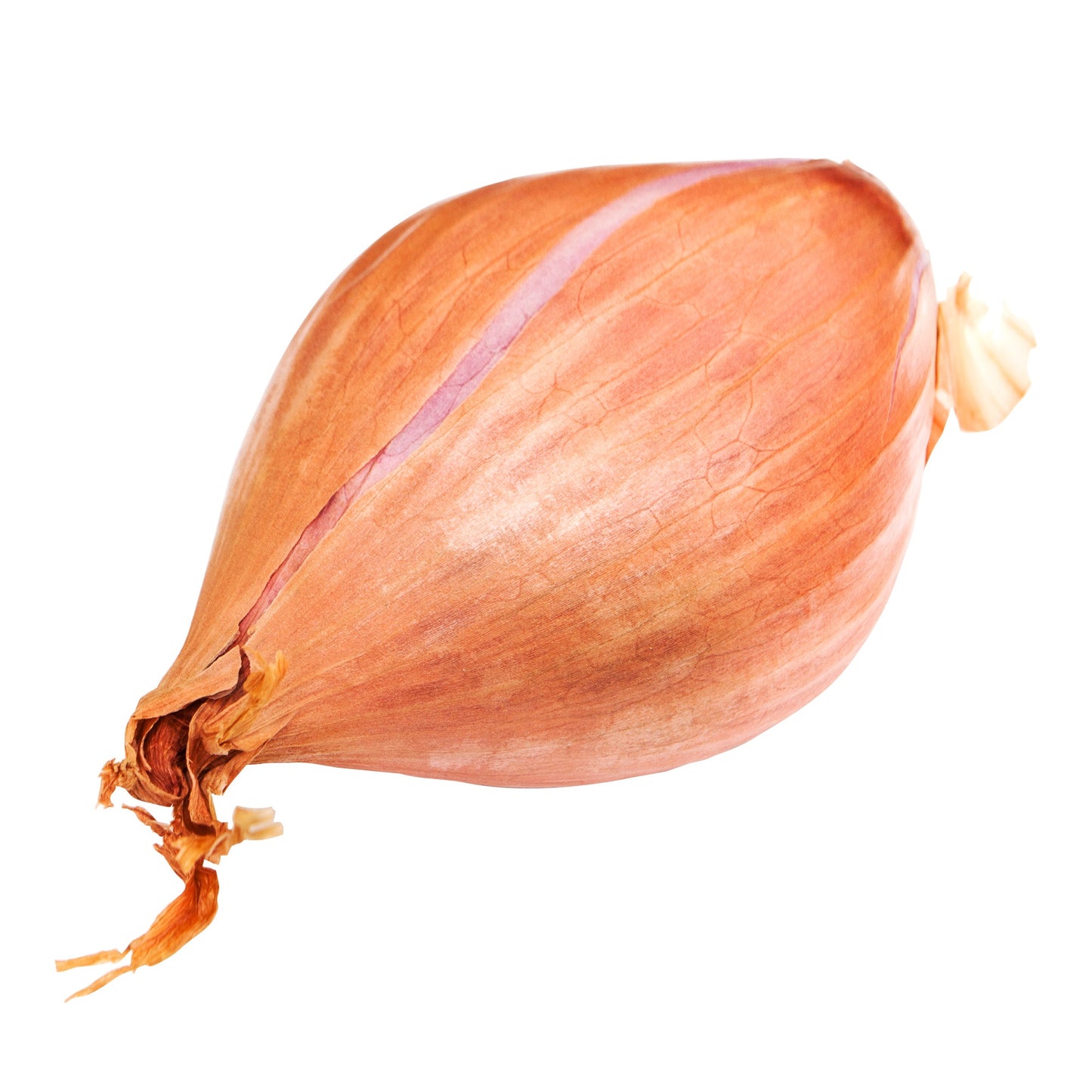 Shallots, 1.36 kg - image 1