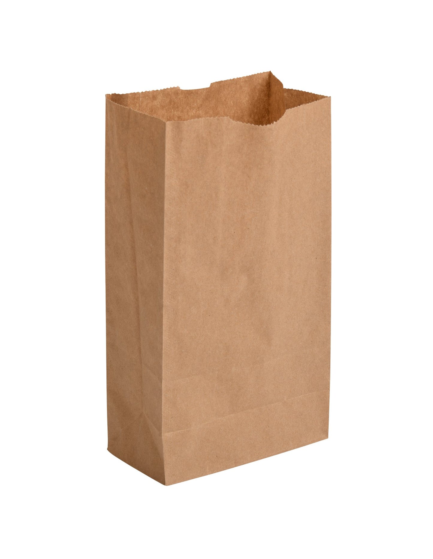Brown Grocery Bag 3lb, Pack Of 500 - image 1