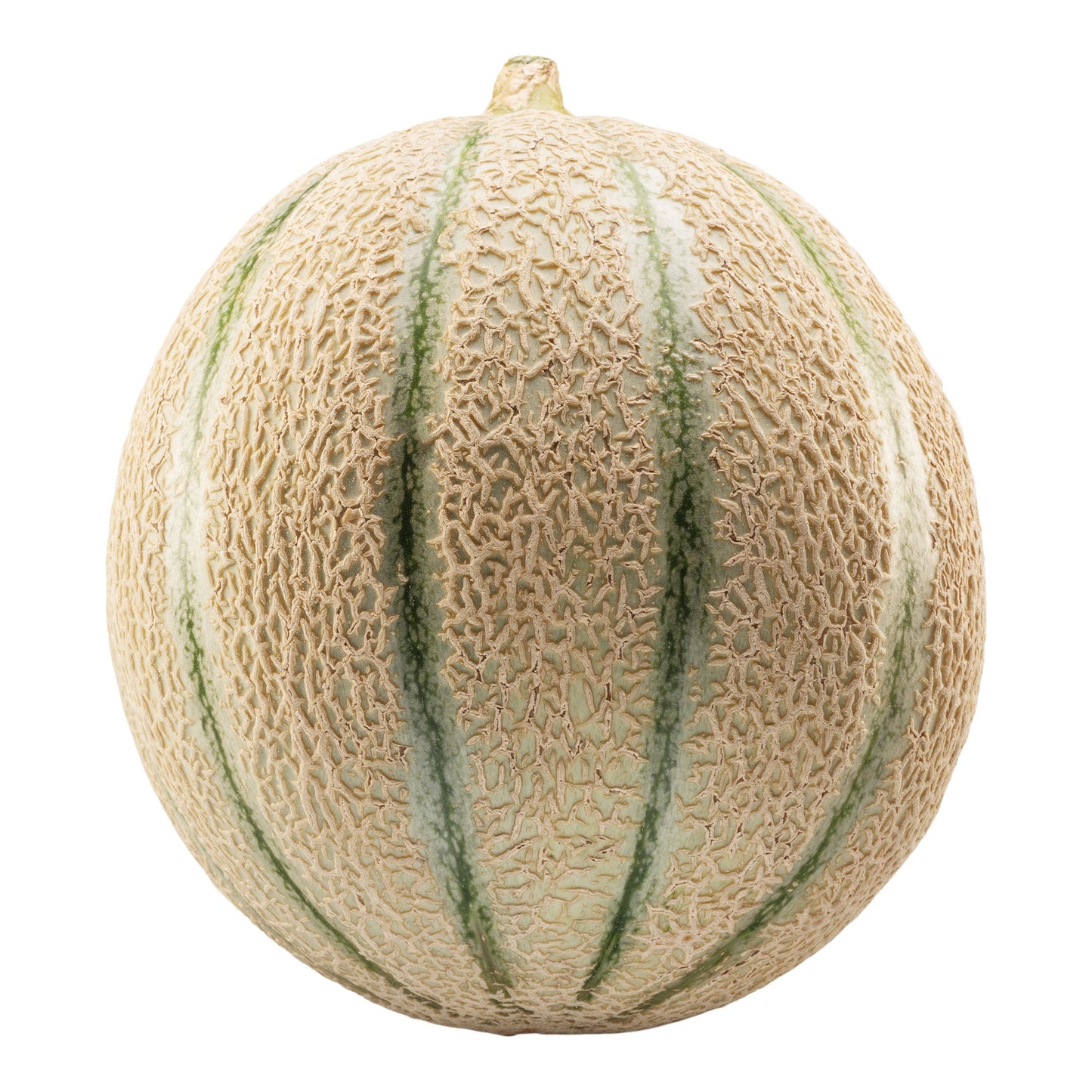 Tuscan Cantaloupe - image 1