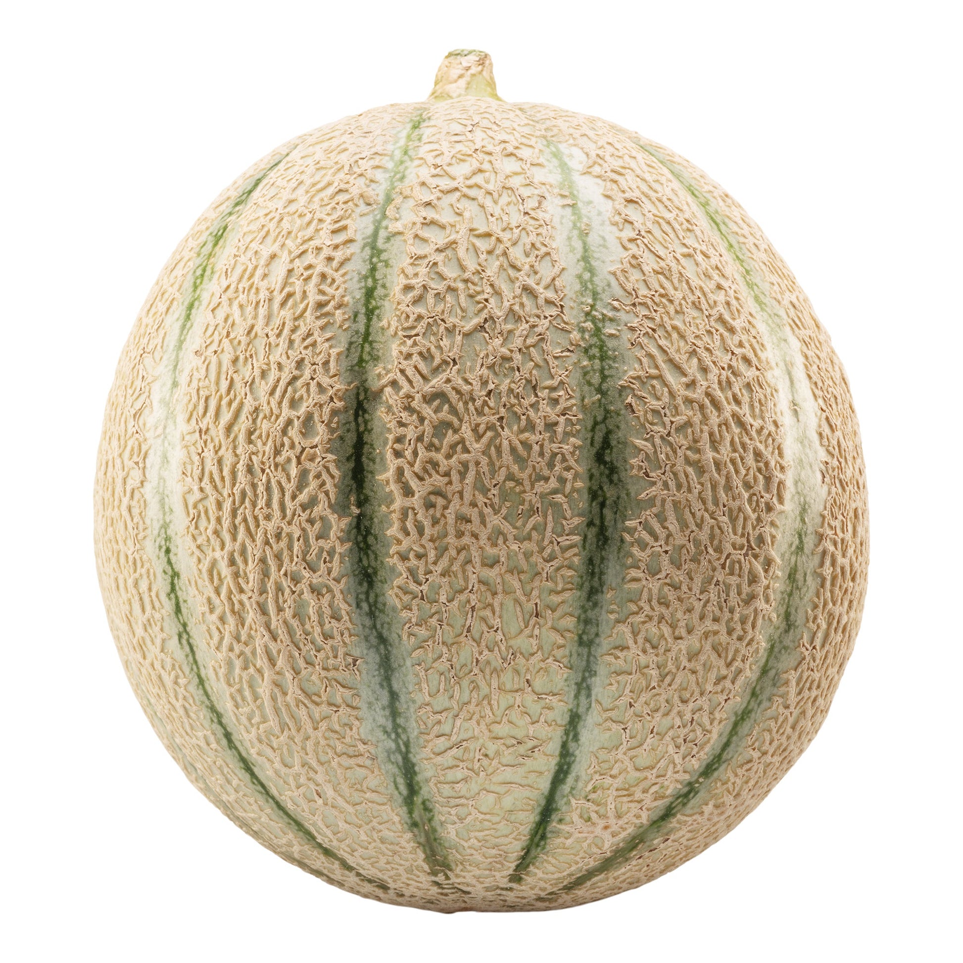 Tuscan Cantaloupe - image 1